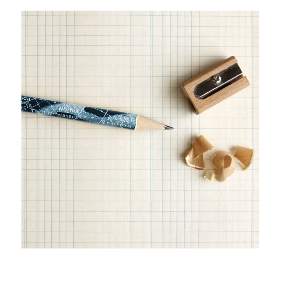 Cavallini Wildflowers Pencil Set