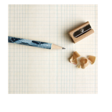 Cavallini Wildflowers Pencil Set