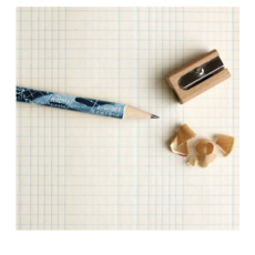 Cavallini Mushrooms Pencil Set