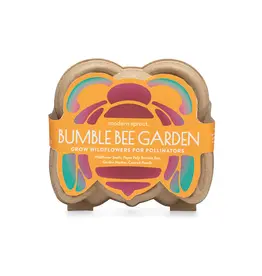 Curious Critters Activity Kit - Bee