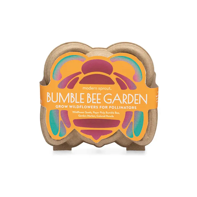 Curious Critters Activity Kit - Bee