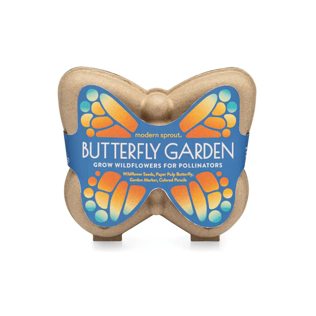 Curious Critters Activity Kit - Butterfly