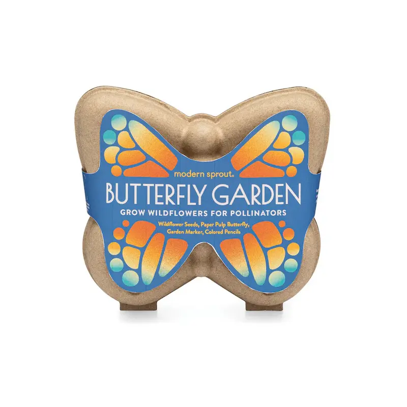 Curious Critters Activity Kit - Butterfly