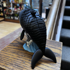 Dave West 3D Orca Whale - Two Piece