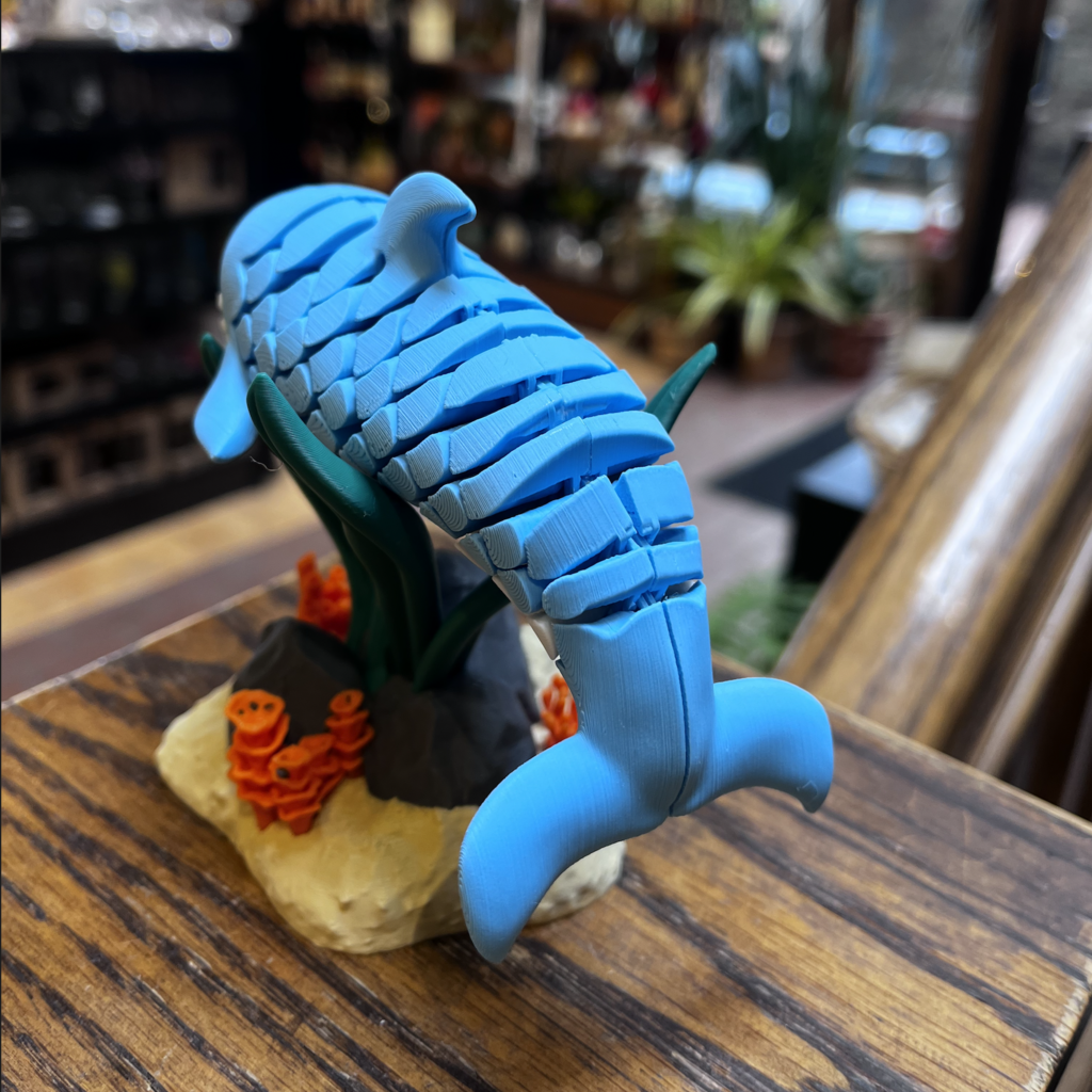 Dave West 3D Dolphin - Two Piece