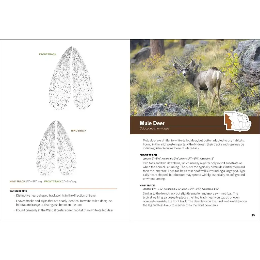 Poppele, Jonathon Animal Tracks of the Midwest Field Guide