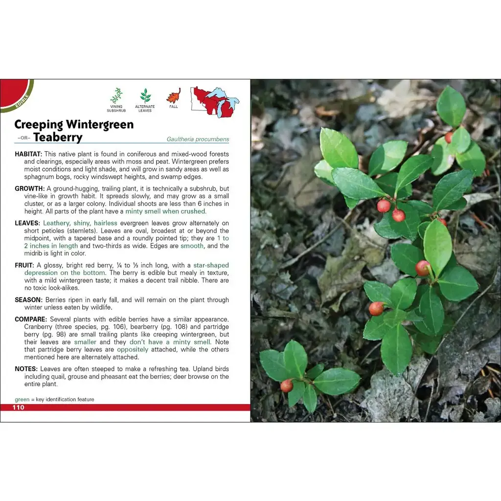 Tekiela Stan Wild Berries & Fruits of Mn, Wi, Mi 2e