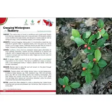 Tekiela Stan Wild Berries & Fruits of Mn, Wi, Mi 2e