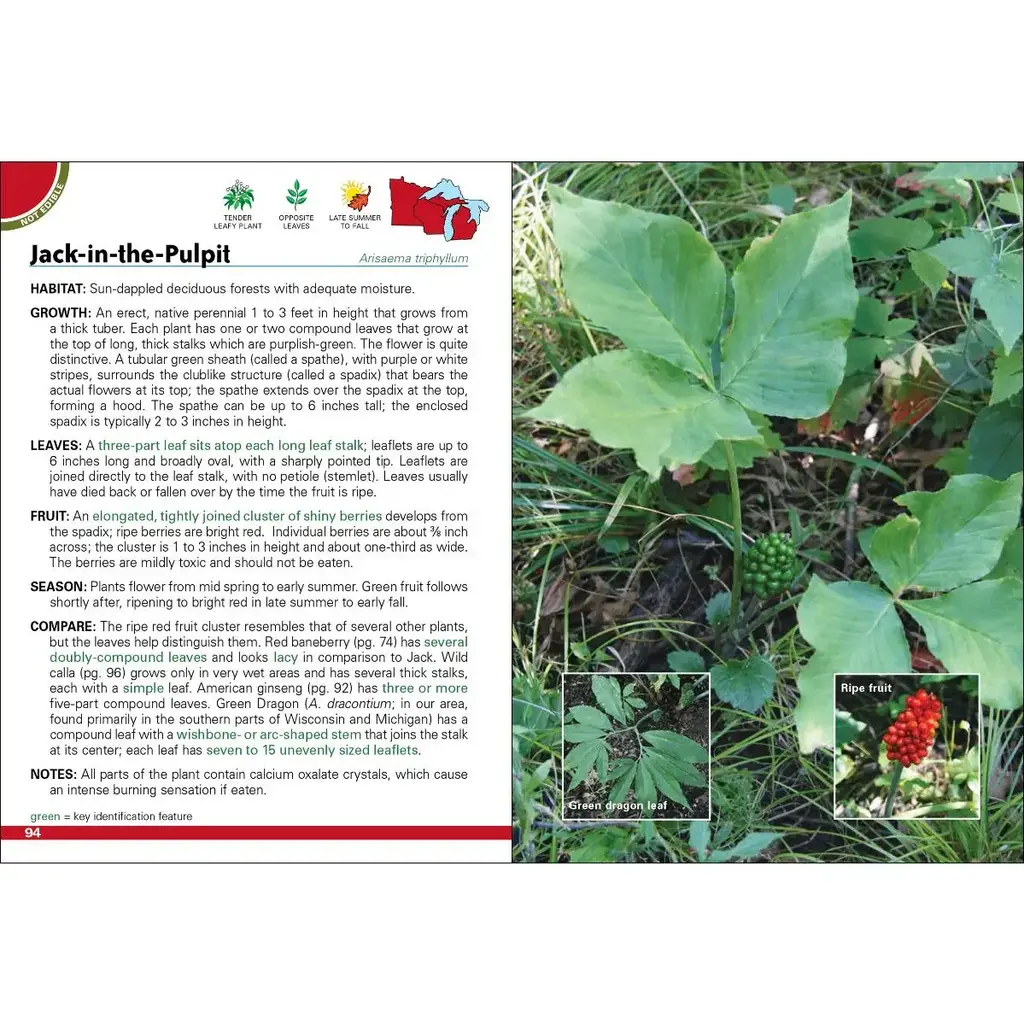 Tekiela Stan Wild Berries & Fruits of Mn, Wi, Mi 2e