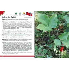 Tekiela Stan Wild Berries & Fruits of Mn, Wi, Mi 2e