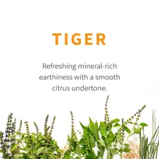 Sacred Blossom Farm Herbal Tea -Tiger