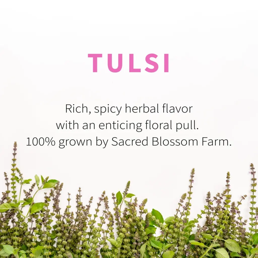 Sacred Blossom Farm Herbal Tea - Tulsi
