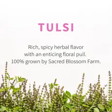 Sacred Blossom Farm Herbal Tea - Tulsi