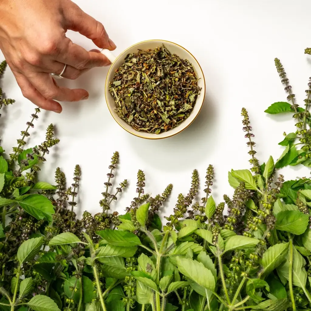 Sacred Blossom Farm Herbal Tea - Tulsi