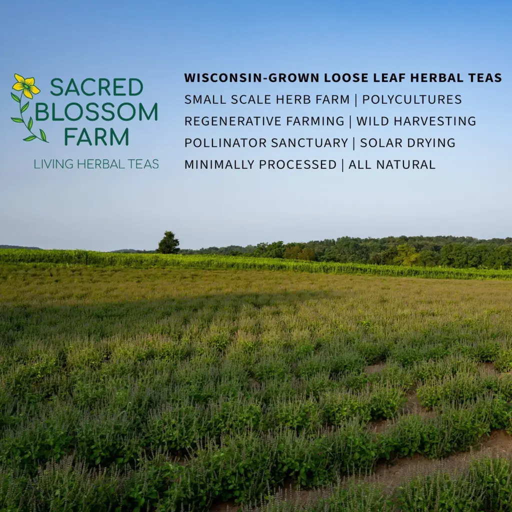 Sacred Blossom Farm Herbal Tea - Tulsi