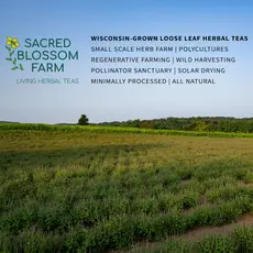 Sacred Blossom Farm Herbal Tea - Tulsi