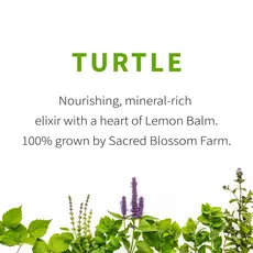 Sacred Blossom Farm Herbal Tea -Turtle