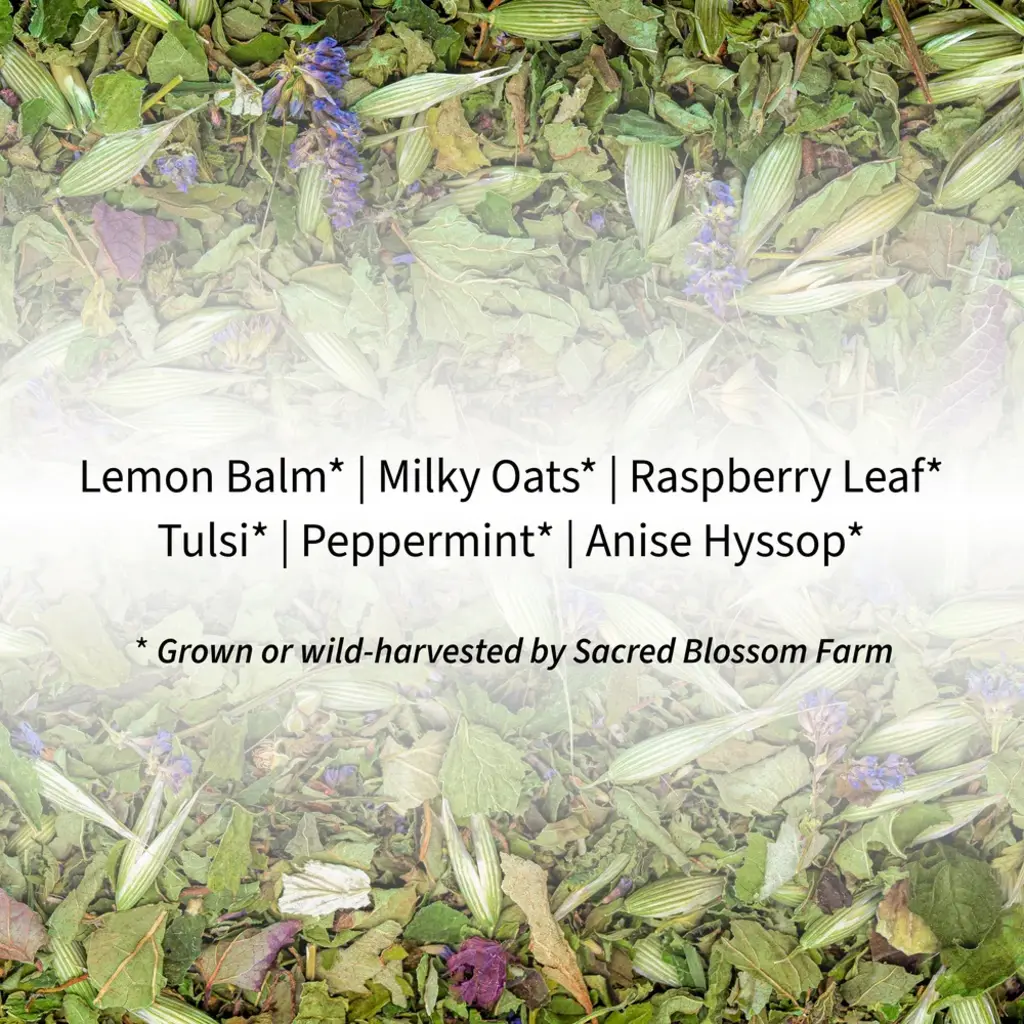 Sacred Blossom Farm Herbal Tea -Turtle