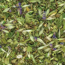 Sacred Blossom Farm Herbal Tea -Turtle