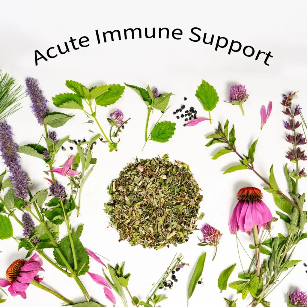 Sacred Blossom Farm Herbal Tea - Immunity