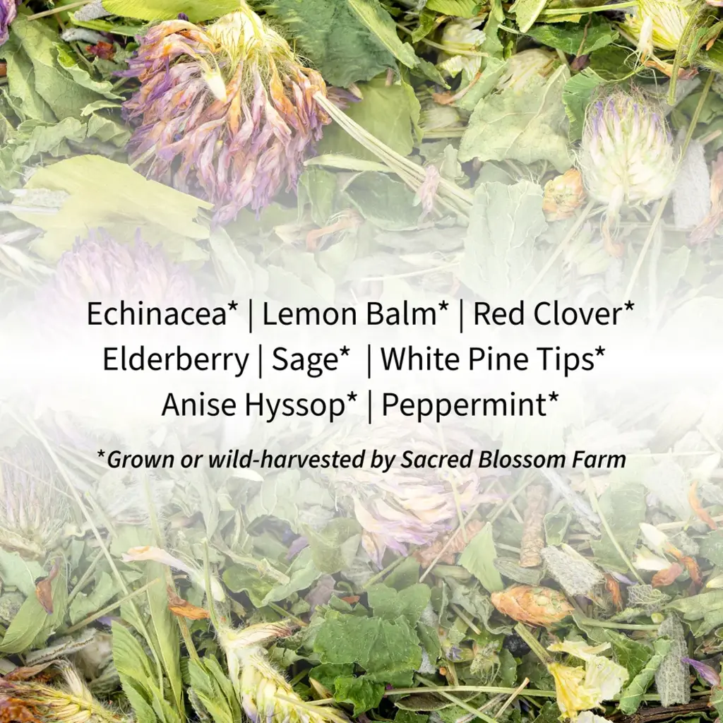 Sacred Blossom Farm Herbal Tea - Immunity