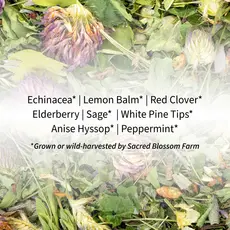 Sacred Blossom Farm Herbal Tea - Immunity