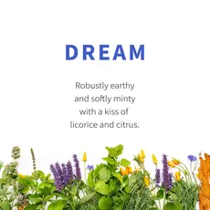 Sacred Blossom Farm Herbal Tea - Dream