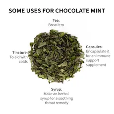 Sacred Blossom Farm Herbal Tea - Chocolate Peppermint