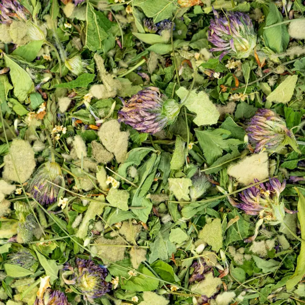 Sacred Blossom Farm Herbal Tea - Breathe