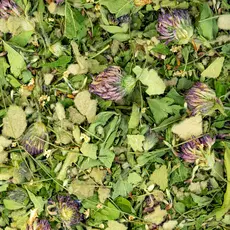 Sacred Blossom Farm Herbal Tea - Breathe