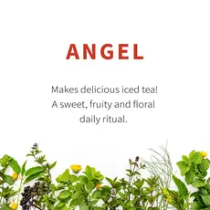 Sacred Blossom Farm Herbal Tea - Angel