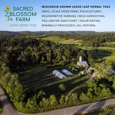Sacred Blossom Farm Herbal Tea - Angel