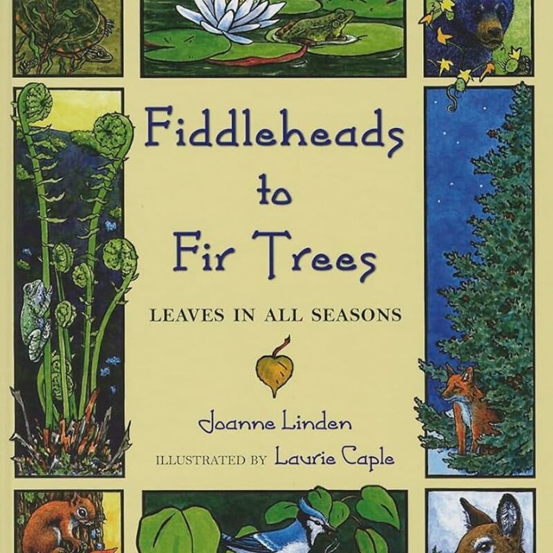 Linden Joanne Fiddleheads to Fir Trees