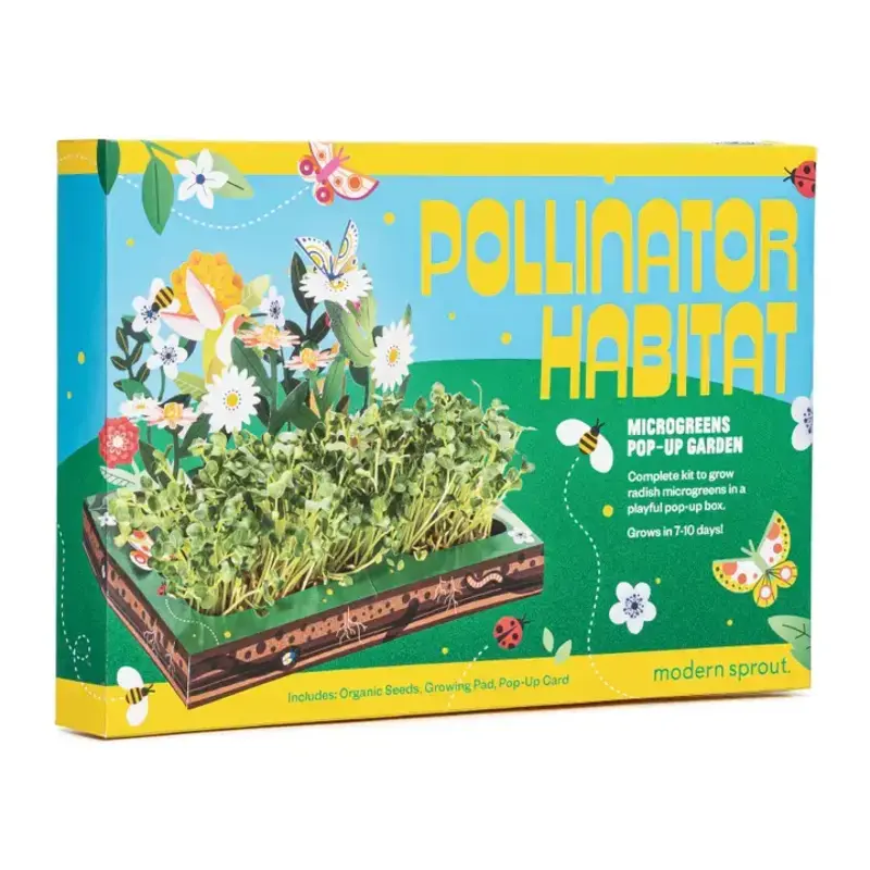 Modern Sprout Microgreens Diy Kit