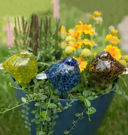 Echo Valley - Home and Garden Products Bird Plant Quencher Display Assorted