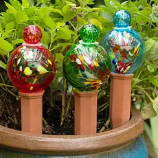 Echo Valley - Home and Garden Products Globe Plant Quencher Display Assorted