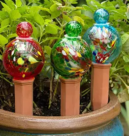 Echo Valley - Home and Garden Products Globe Plant Quencher Display Assorted
