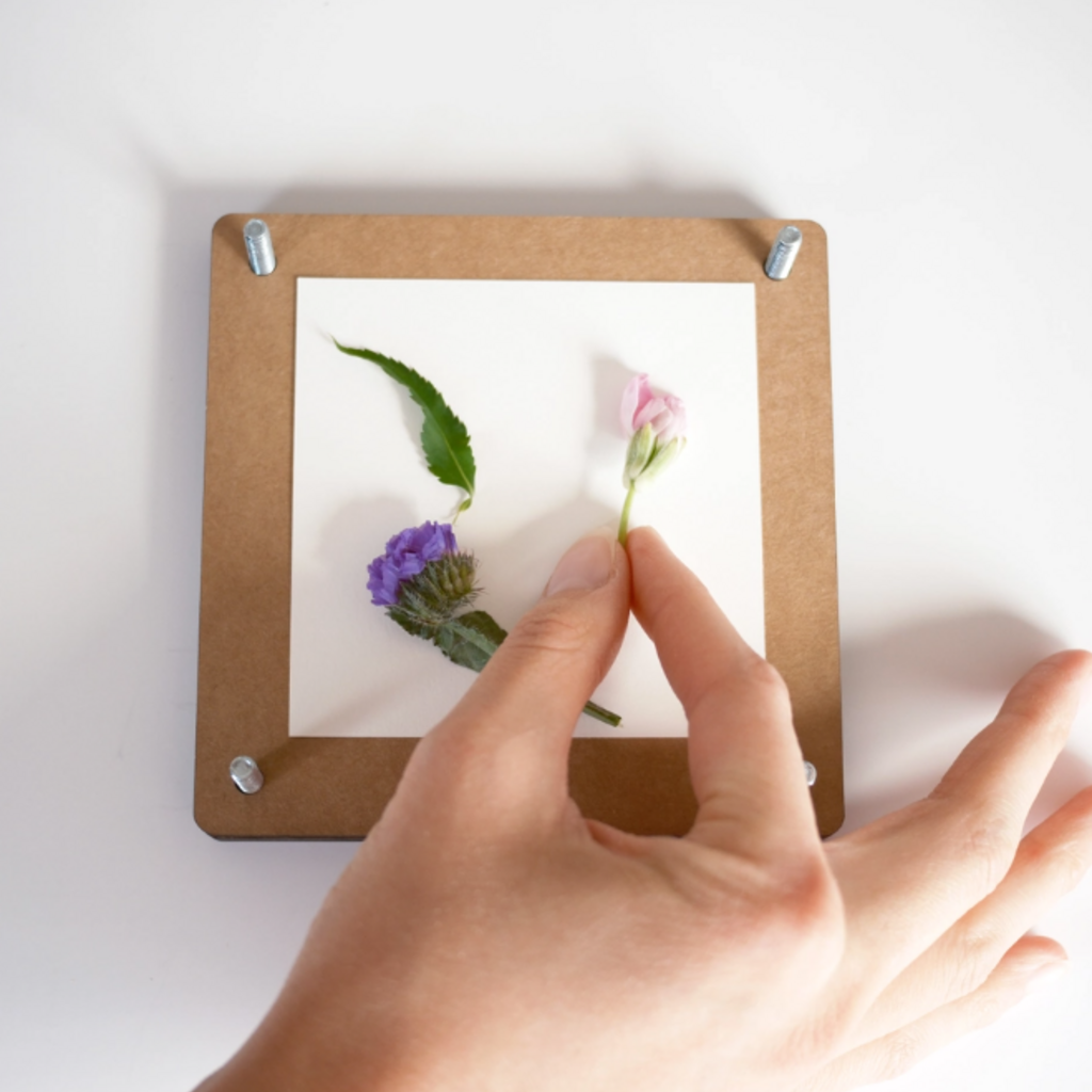 Sunnie Lane (Faire) Flower Press Kit - Pressed Floral Accessories