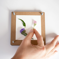 Sunnie Lane (Faire) Flower Press Kit - Pressed Floral Accessories