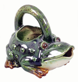 Will's Company Ceramic Frog Watering Can