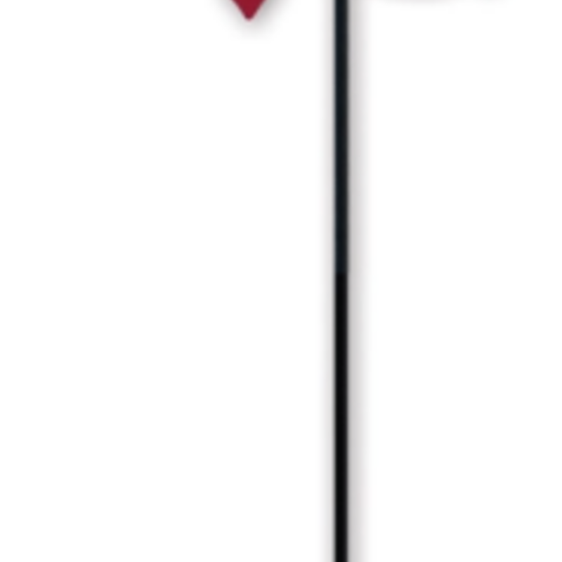 Sunset Vista Designs Cardinal Rain Gauge