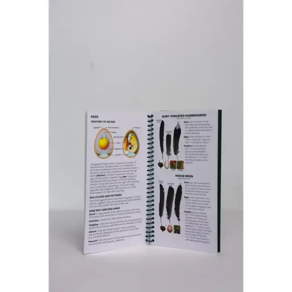 Tekiela Stan Copy of Animal Tracks of the Midwest Quick Guide