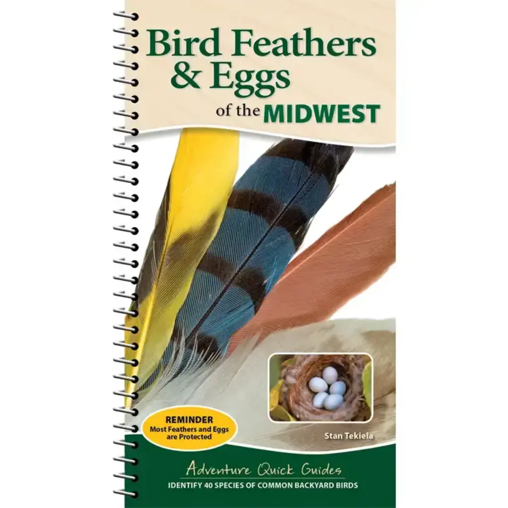 Tekiela Stan Bird Feathers & Eggs of the Midwest Quick Guide