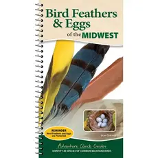 Tekiela Stan Bird Feathers & Eggs of the Midwest Quick Guide