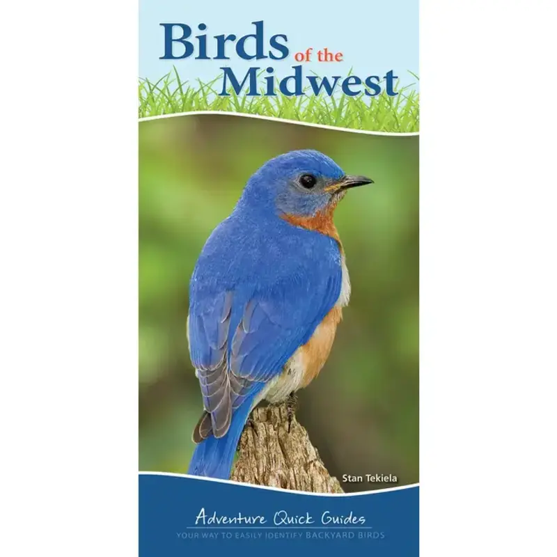 Tekiela Stan Birds of the Midwest Quick Guide