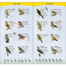Tekiela Stan Birds of the Midwest Quick Guide