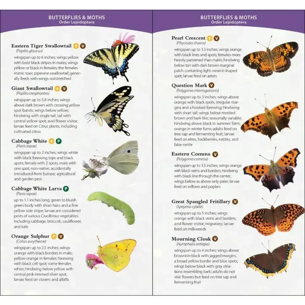 Daniels Jaret C. Garden Bugs & Insects of the Midwest