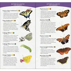 Daniels Jaret C. Garden Bugs & Insects of the Midwest