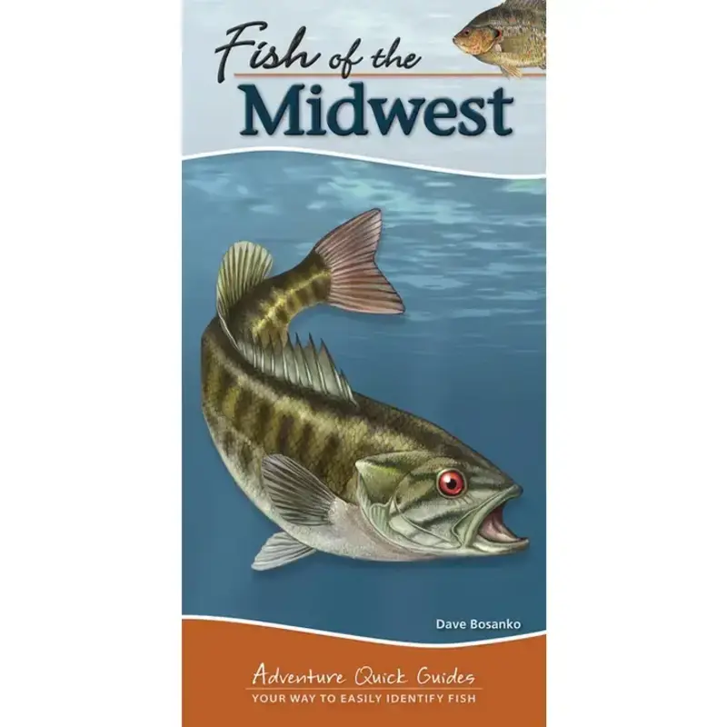 Bosanko Dave Fish of Midwest Quick Guide