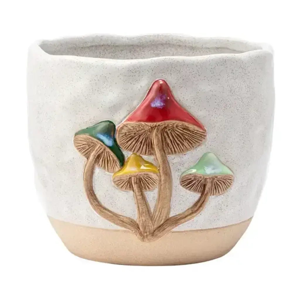 Planter with 3D Colorful Mushrooms